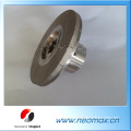 Magnetic pump coupling